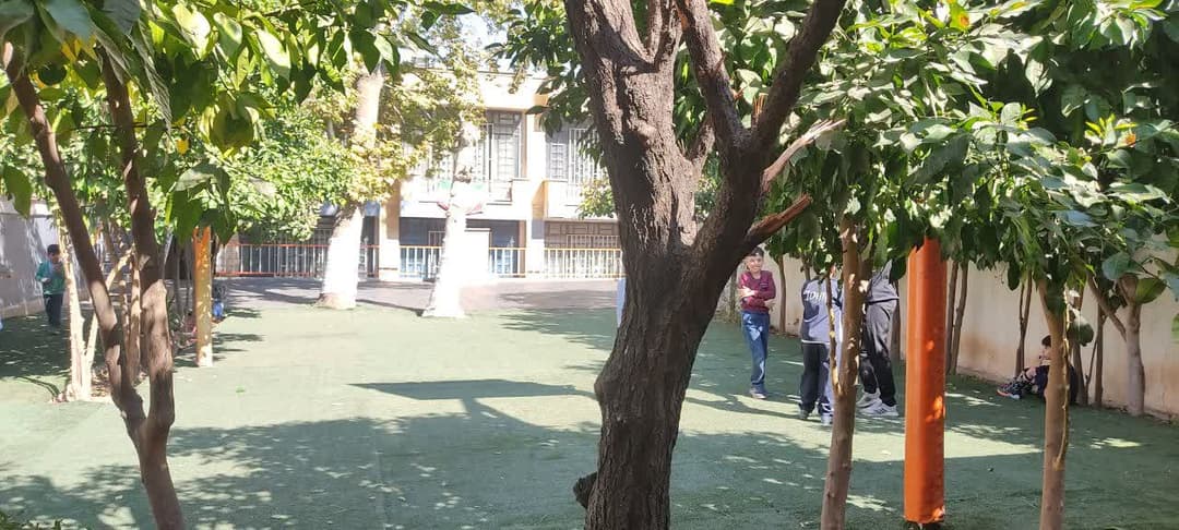 تصویر مقاله